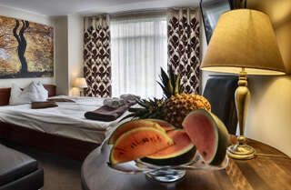Курортные отели Mazowsze Medi Spa Устронь Двухместный номер «Комфорт» с 2 отдельными кроватями-1